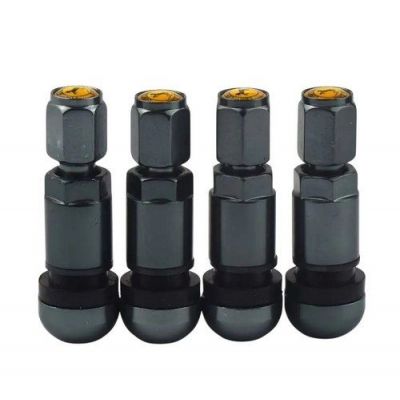 купити Вентиль воздушный разборной для датчиков давления TPMS (Графит) Алюминиевый для дисків